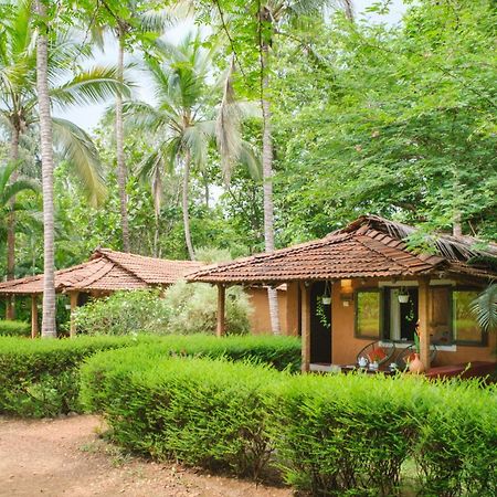 Nature'S Nest Eco Resort Goa, Near Dudhsagar Waterfalls Molem 외부 사진