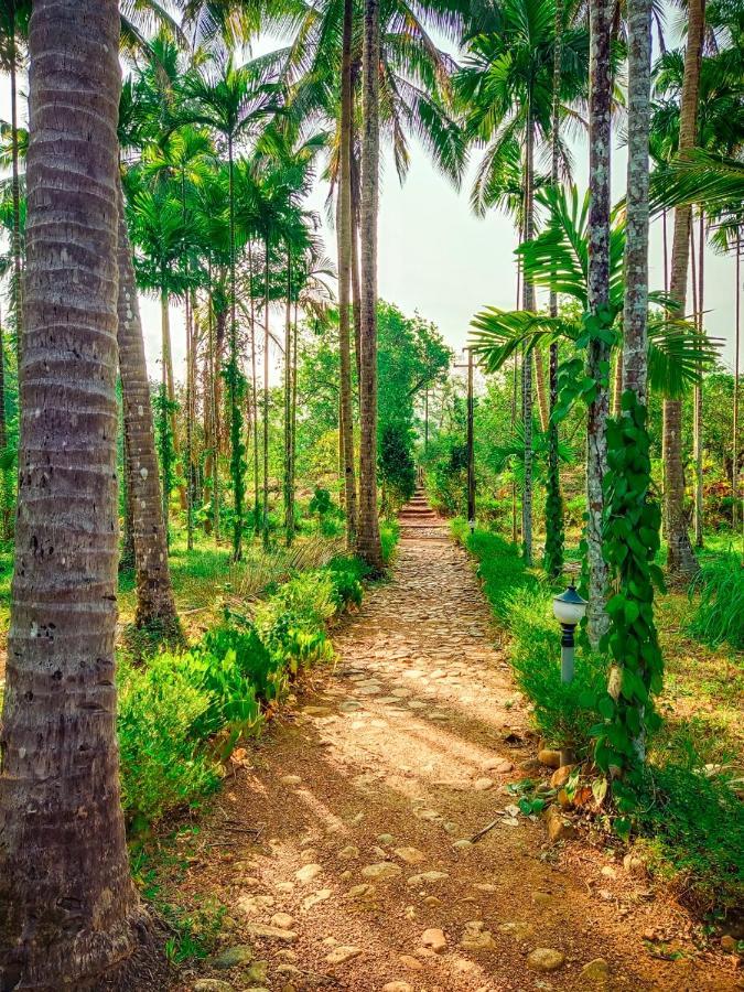 Nature'S Nest Eco Resort Goa, Near Dudhsagar Waterfalls Molem 외부 사진