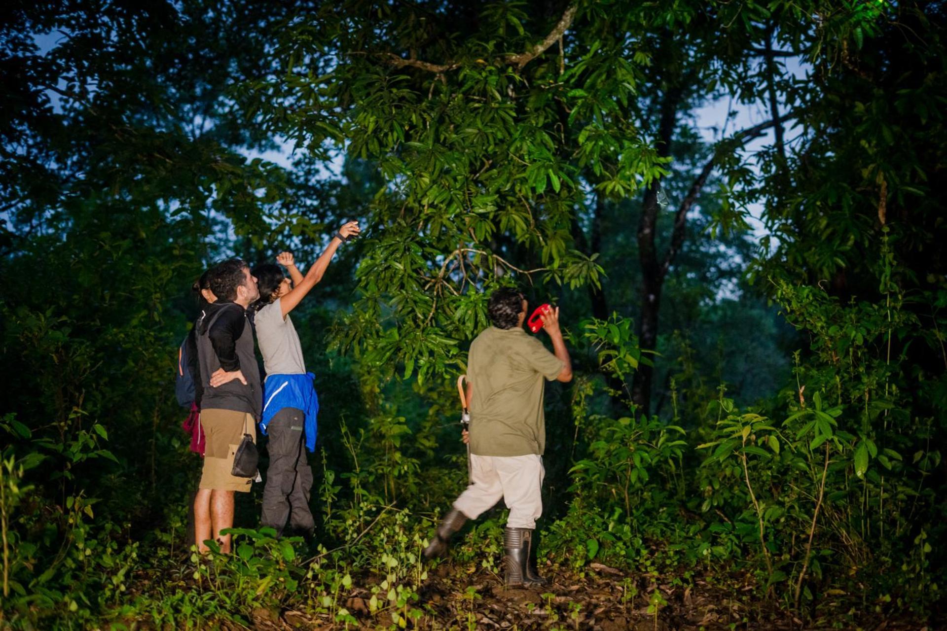 Nature'S Nest Eco Resort Goa, Near Dudhsagar Waterfalls Molem 외부 사진