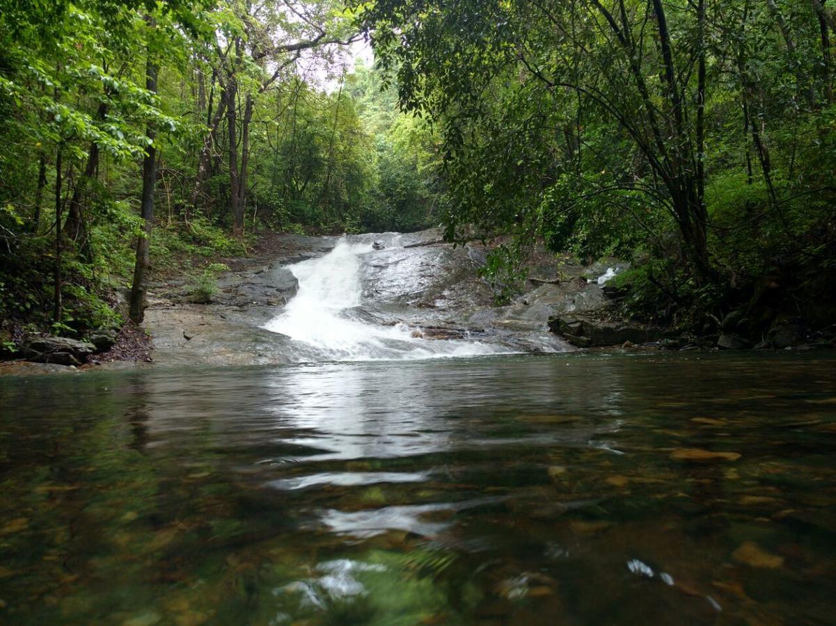 Nature'S Nest Eco Resort Goa, Near Dudhsagar Waterfalls Molem 외부 사진